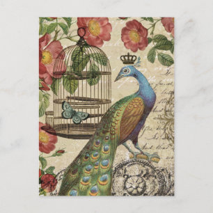 moderner vintage-französischer Pfau Postkarte