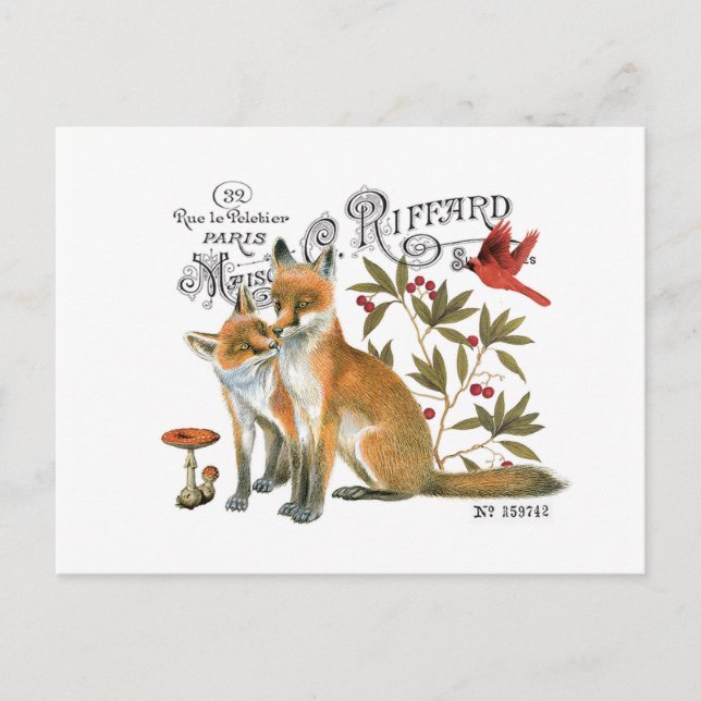 moderner vintage Wald Fuchs Postkarte (Vorderseite)