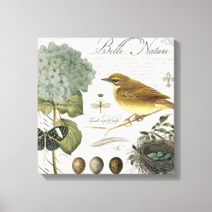 moderner Vintager französischer Vogel und Nest Leinwanddruck