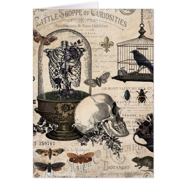 Moderner Vintager Halloween-Garten (Vorne)