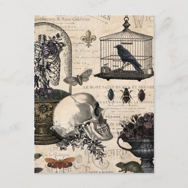 Moderner Vintager Halloween-Garten Postkarte (Vorderseite)