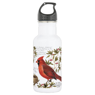moderner Vintager Kardinal Edelstahlflasche