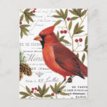 Moderner Vintager Kardinal Postkarte<br><div class="desc">moderner Vintager Kardinal</div>