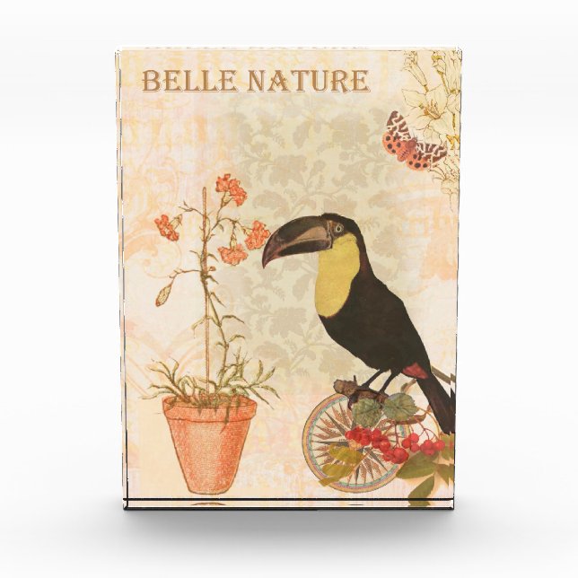 Moderner Vintager Vogel Rosa Blume Butterfly Fotoblock (Vorderseite)