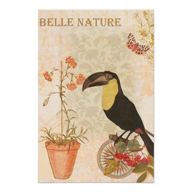 Moderner Vintager Vogel Rosa Blume Butterfly Poster (Vorderseite)