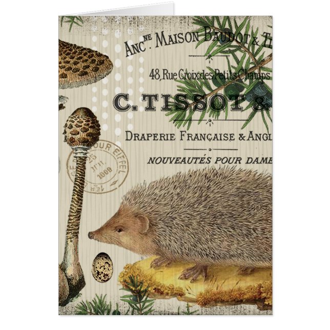 moderner Vintager WaldIgel (Vorne)