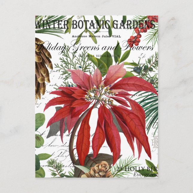 Moderner Vintager Wintergarten mit Blumen Postkarte (Vorderseite)