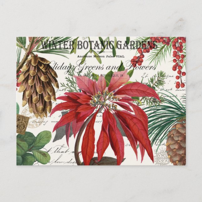 Moderner Vintager Wintergarten Postkarte (Vorderseite)