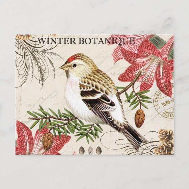 moderner Vintager Wintervogel Postkarte (Vorderseite)