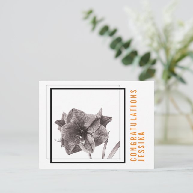 Modernes Amaryllis Blume Orange Postkarte (Stehend Vorderseite)