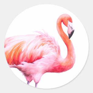 Modernes Aquarell rosa Flamingo Runder Aufkleber