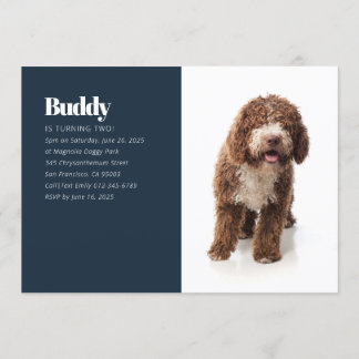 Modernes, benutzerdefiniertes Foto für Welpenhunde Einladung