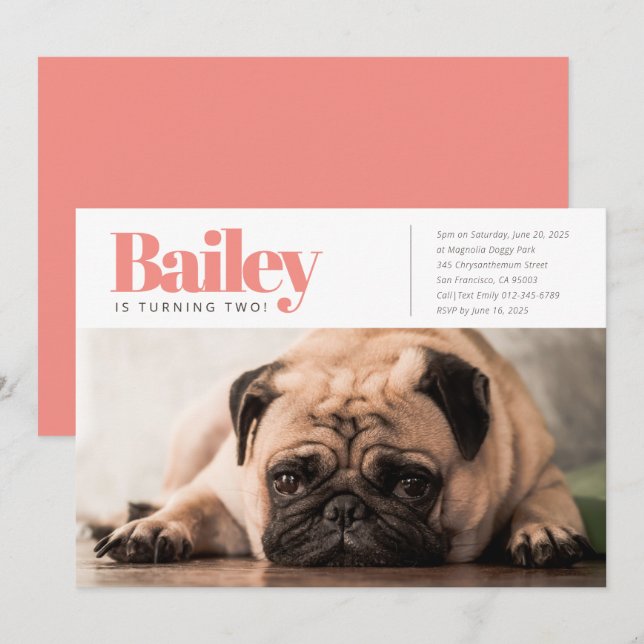 Modernes, benutzerdefiniertes Foto für Welpenhunde Einladung (Vorne/Hinten)