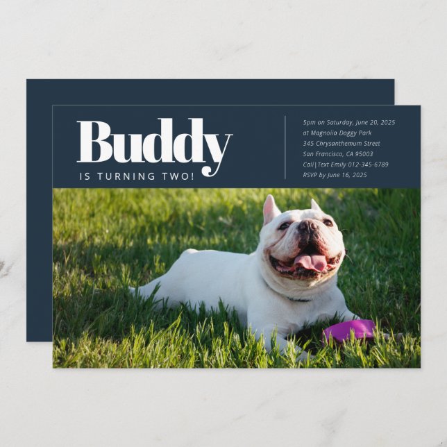 Modernes, benutzerdefiniertes Foto für Welpenhunde Einladung (Vorne/Hinten)