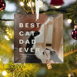 Modernes, BEST CAT-VATER je benutzerdefiniertes Fo Ornament Aus Glas