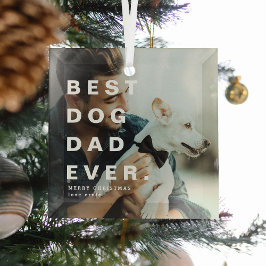 Modernes BEST DOG VATER EVENT Custom Foto Ornament Aus Glas