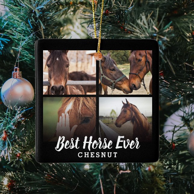 Modernes Bestes Pferd je Fotomaterial | Reittiere Keramikornament (Von Creator hochgeladen)