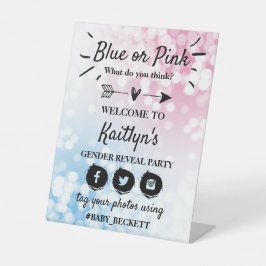 Modernes Blau oder Rosa? Party für das Geschlecht  Sockelschild