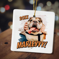 Modernes Comic Einfaches Grunge Custom Pet Foto