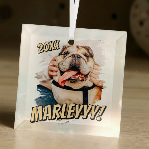 Modernes Comic Einfaches Grunge Custom Pet Foto Ornament Aus Glas