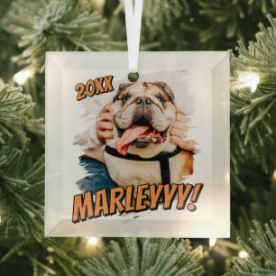 Modernes Comic Einfaches Grunge Custom Pet Foto Ornament Aus Glas