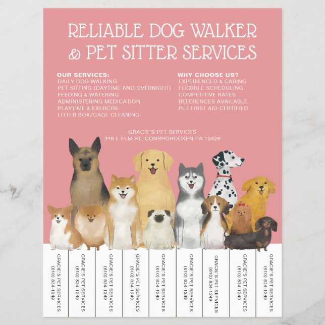 Modernes Dog Walker Pet Sitter Rosa Einfache Strei Flyer (Vorne)