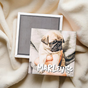 Modernes, einfaches Grunge Foto Magnet