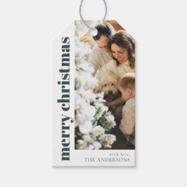 Modernes elegantes Grün frohe Weihnachtsfamilien F Geschenkanhänger