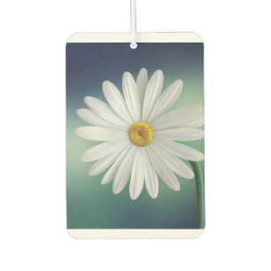 modernes, farbenfrohes und individuelles Design Autolufterfrischer