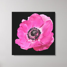 Modernes, florales, lebhaftes, helles Pink Poppy B Leinwanddruck