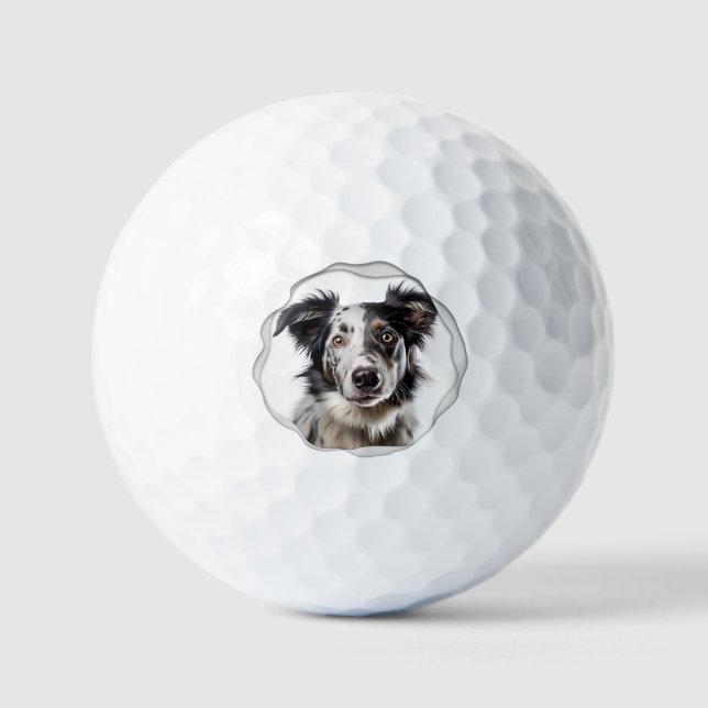 Modernes Foto für Haustiere Golfball (Vorderseite)