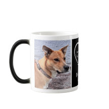 Modernes Foto Gedächtnis für Haustiere Herz Schwar