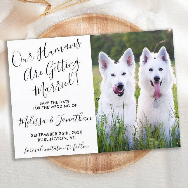 Modernes Foto Personalisiert Hunde Foto Haustier H Save The Date (Von Creator hochgeladen)