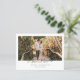 Modernes Foto Save the Date Hochzeit Minimalistisc Postkarte (Stehend Vorderseite)