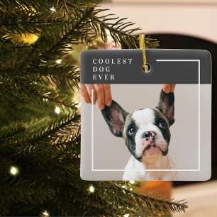 Modernes Hundebahn-Foto   Cooler Hund je Keramikornament