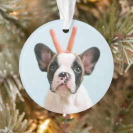 Modernes Hundebahn-Foto | Frohe Weihnachten Ornament