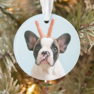 Modernes Hundebahn-Foto   Frohe Weihnachten Ornament