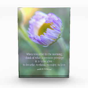 Modernes, inspirierendes Blumenkoffertypografie-Fo Fotoblock