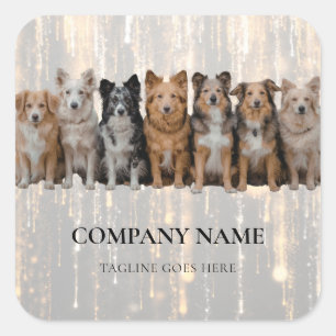 Modernes Logo-Sticker für Hundeausführer / Tierbet Quadratischer Aufkleber