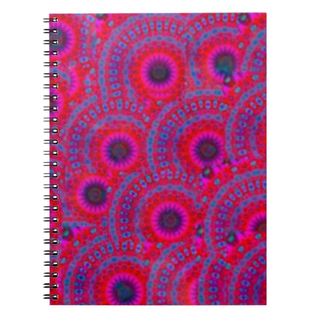 MODERNES MANDALA ROSE FARBE PINK NOTIZBLOCK (Vorderseite)