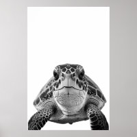 Modernes Meerschildkrötenportrait Schwarz-weiß