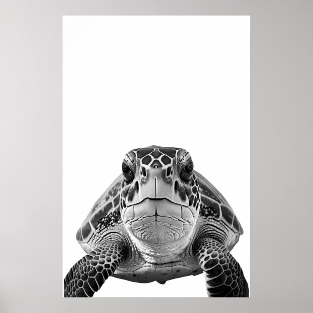 Modernes Meerschildkrötenportrait Schwarz-weiß Poster (Vorne)