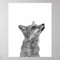Modernes Monokromatisches Foxenhüttengebirge