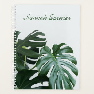 Modernes Monstera Planer