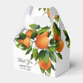 Modernes Orangenfrucht | Hochzeit Geschenkschachtel