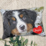 Modernes Personalisiertes Foto Hundefreund Haustie Zierkissen<br><div class="desc">Feiern Sie Ihre beste Freundin mit einem personalisierten Pet Kissen . Der Name wird in einem wunderschönen Aquarellherz gezeigt. Passen Sie mit Ihrem eigenen Foto an, und nennen Sie es. Perfektes Geschenk für einen Freund, einen Liebesfreund, einen Lieblingsschaden, sogar für die Familie, die besten Freunde, Schwestern, Geschwister oder Großeltern ....</div>