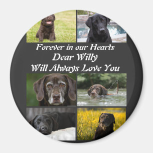 Modernes Pet-Memorial 6 FotoCollage Magnet