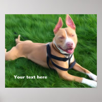 Modernes Poster mit Pit Bull Hund auf grünem Gras