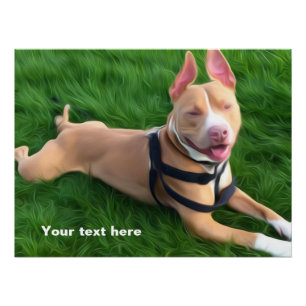 Modernes Poster mit Pit Bull Hund auf grünem Gras