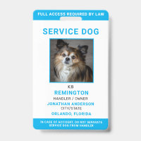 Modernes Red Blue Simple Service Dog Foto ID Abzei